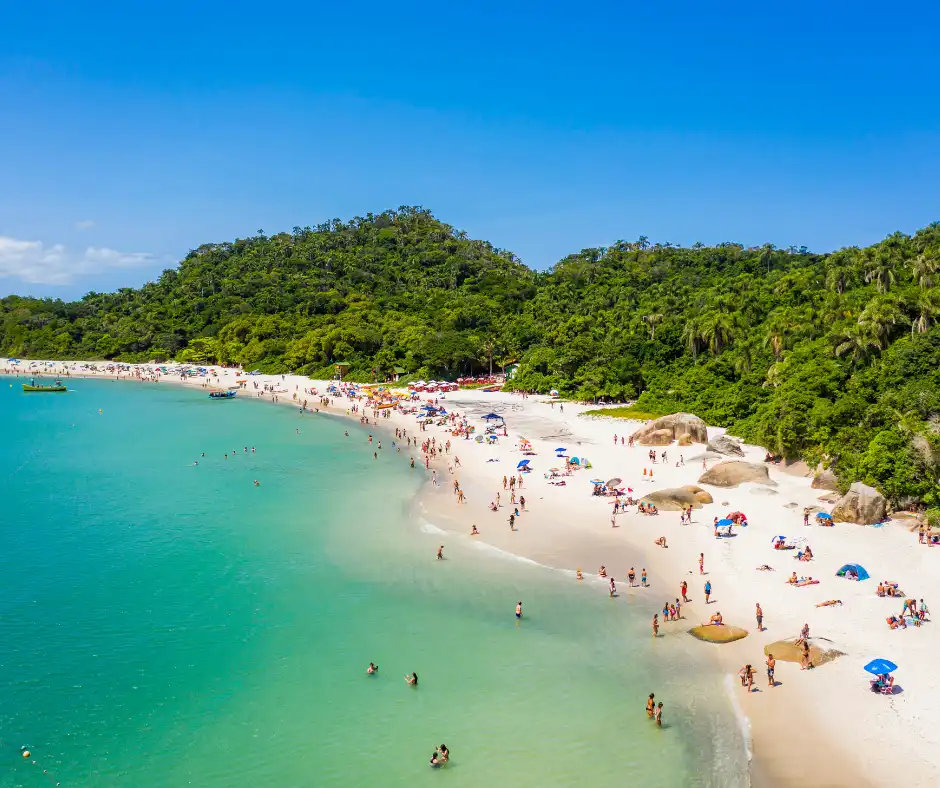 Planeje seu passeio inesquecível para este paraíso natural e experimente a beleza intocada da Ilha do Campeche em Florianópolis.