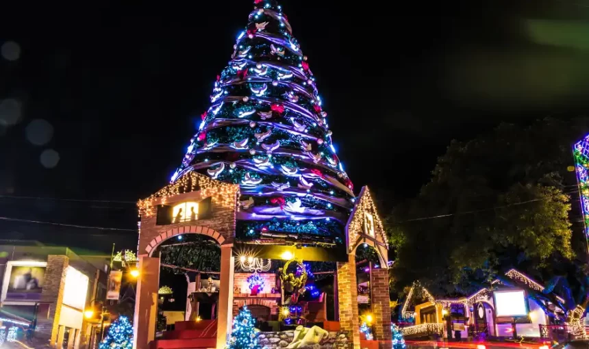 Natal Luz Gramado: Guia Completo para Planejar sua Viagem